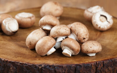 Kokoscurry met kastanjechampignons en paksoi